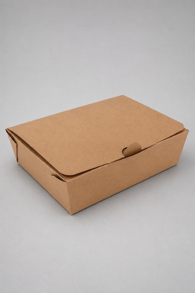 Takeaway Box Medium Commercial Packaging & Disposable