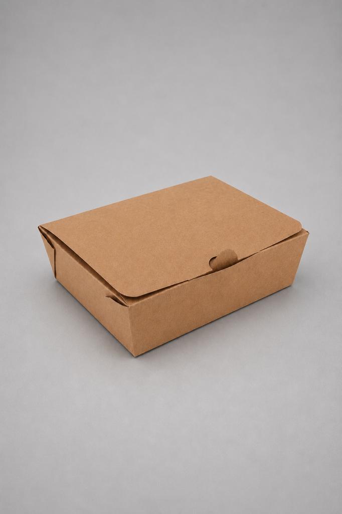 Takeaway Box Small Commercial Packaging & Disposable